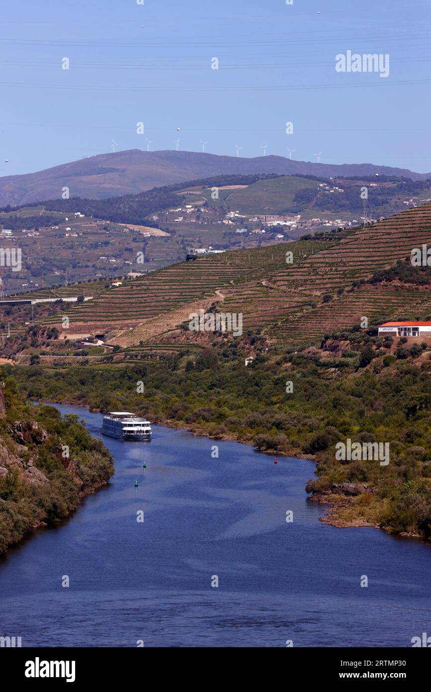 Vallée du Douro, vignoble en terrasses surplombant le fleuve Douro. Portugal. Banque D'Images