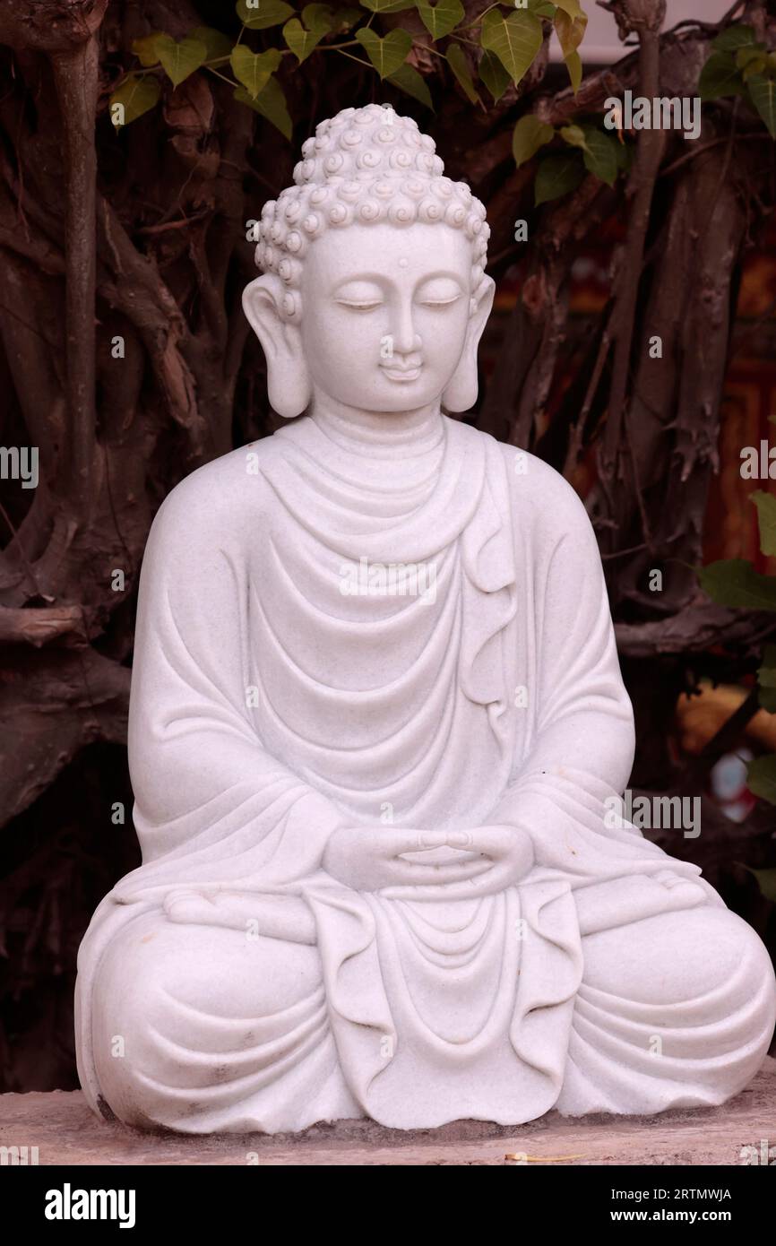 Temple bouddhiste. Statue de Bouddha en marbre dans le jardin. Vung Tau. Vietnam. Banque D'Images Temple bouddhiste. Statue de Bouddha en marbre dans le jardin. Vung Tau. Vietnam. Banque D'Images