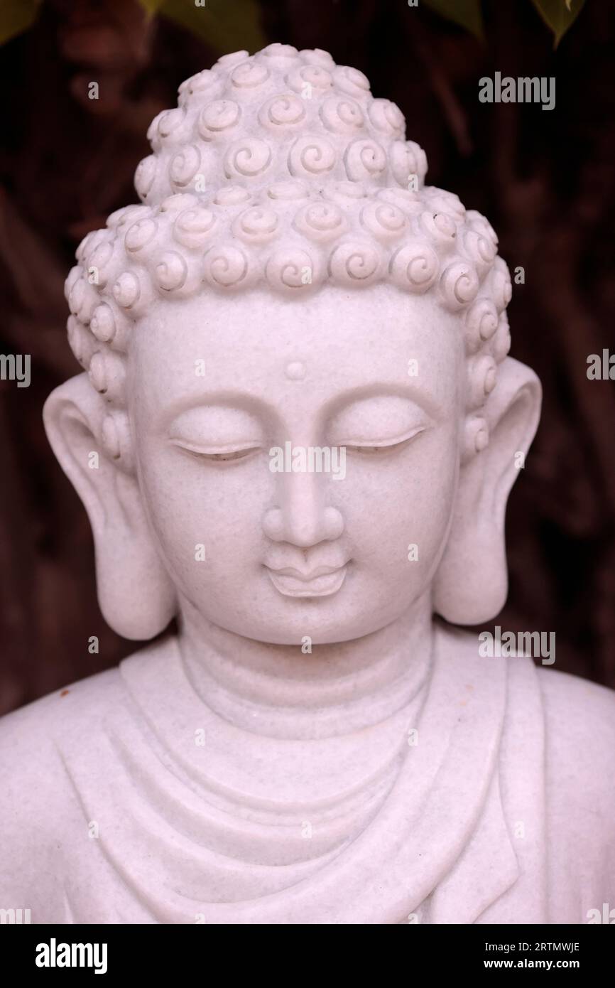 Temple bouddhiste. Statue de Bouddha en marbre dans le jardin. Vung Tau. Vietnam. Banque D'Images Temple bouddhiste. Statue de Bouddha en marbre dans le jardin. Vung Tau. Vietnam. Banque D'Images