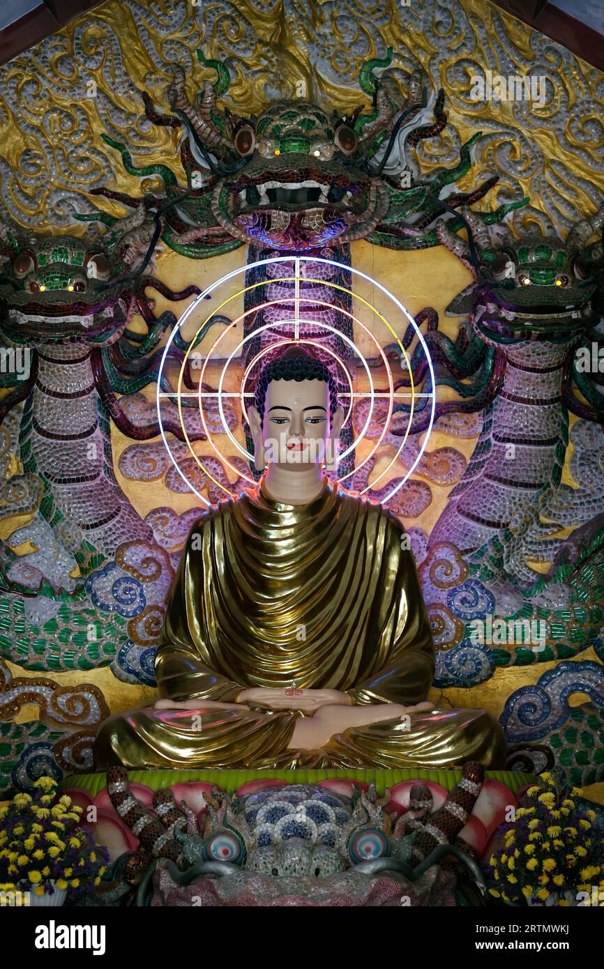 Monastère bouddhiste zen Van Hanh. Statue de Bouddha Siddhartha Gautama. Dalat. Vietnam. Banque D'Images Monastère bouddhiste zen Van Hanh. Statue de Bouddha Siddhartha Gautama. Dalat. Vietnam. Banque D'Images