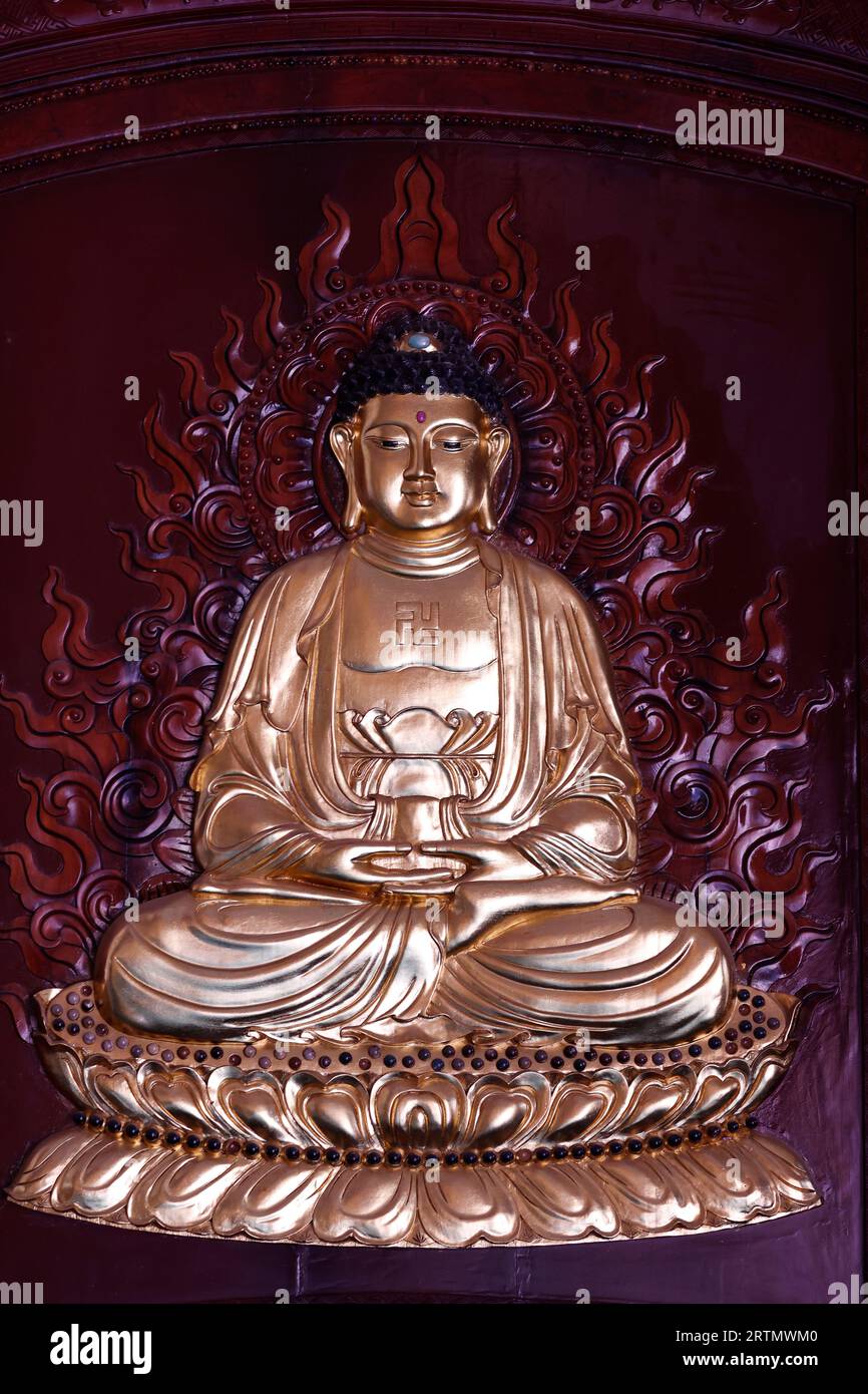 Monastère bouddhiste zen Van Hanh. Statue de Bouddha Siddhartha Gautama. Méditation. Dalat. Vietnam. Banque D'Images Monastère bouddhiste zen Van Hanh. Statue de Bouddha Siddhartha Gautama. Méditation. Dalat. Vietnam. Banque D'Images