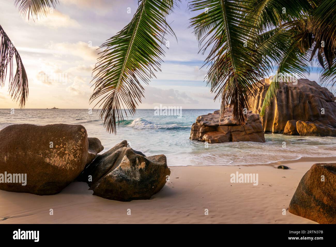 Roches granitiques et palmiers sur la pittoresque plage de sable tropical Anse Patates, île de la Digue, Seychelles Banque D'Images