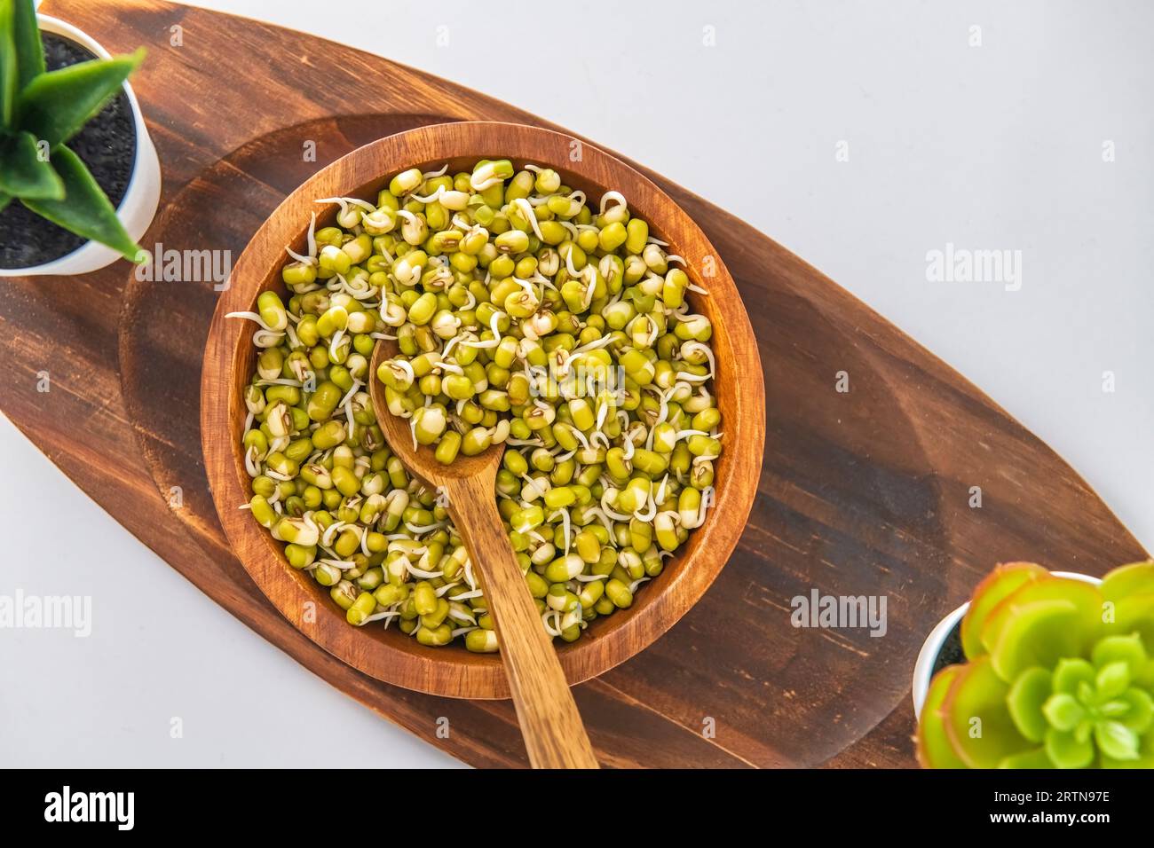 Germination de haricot de gramme vert dans un bol et une cuillère en bois, décoré avec un fond blanc isolé. Germes isolés en fond blanc et décoratifs. Banque D'Images