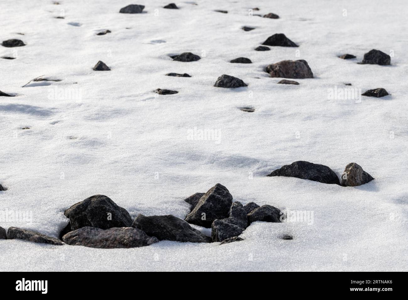 Pierres côtières et glace sous neige blanche. Côte de la mer Baltique en hiver, photo de fond naturel Banque D'Images