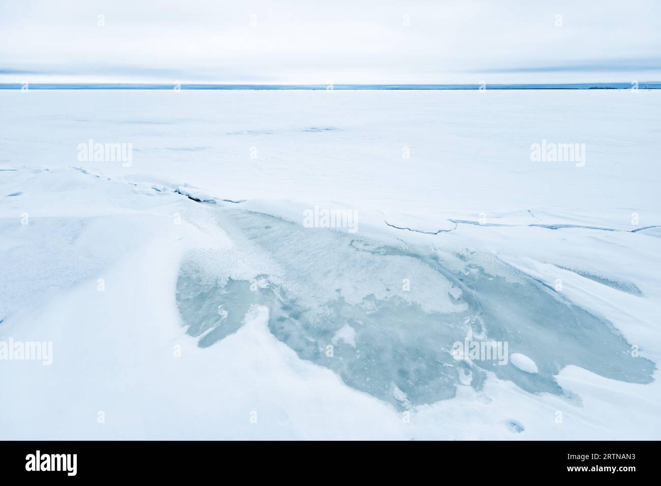 Paysage côtier avec fonte de la glace sur la côte du golfe de Finlande. Côte de la mer Baltique sur une journée d'hiver, photo de fond naturel Banque D'Images