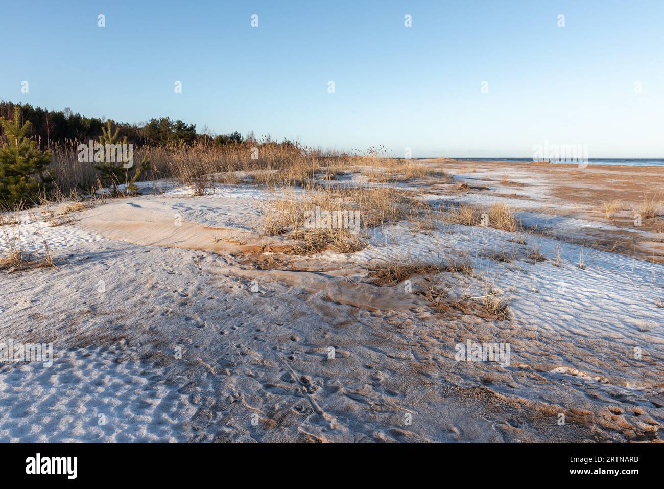 Paysage de plage vide gelé, Golfe de Finlande. Côte de la mer Baltique, photo de fond d'hiver naturel Banque D'Images