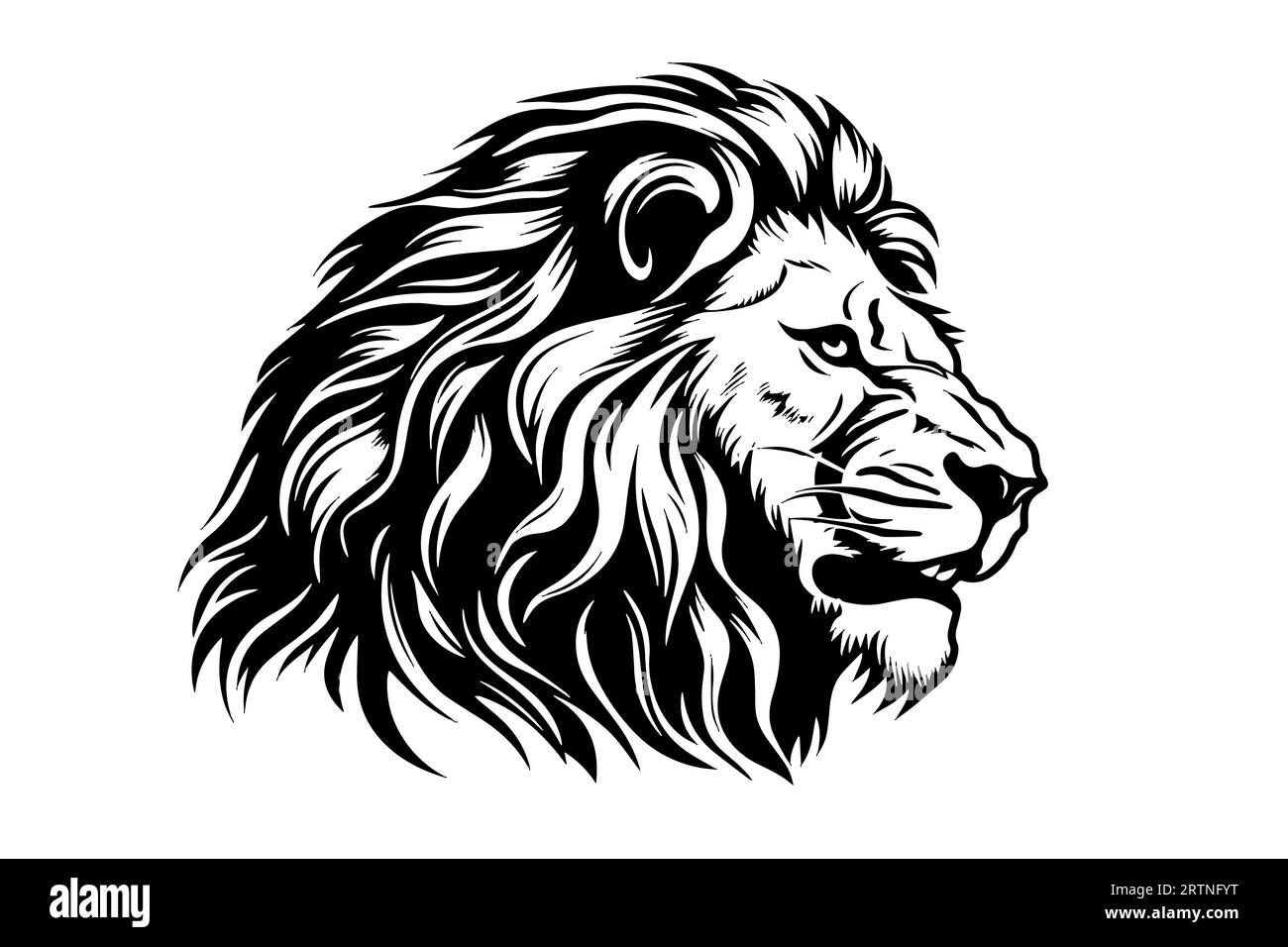 La tête de lion dessine à la main la gravure vintage illustration vectorielle noir et blanc sur fond blanc. Illustration de Vecteur