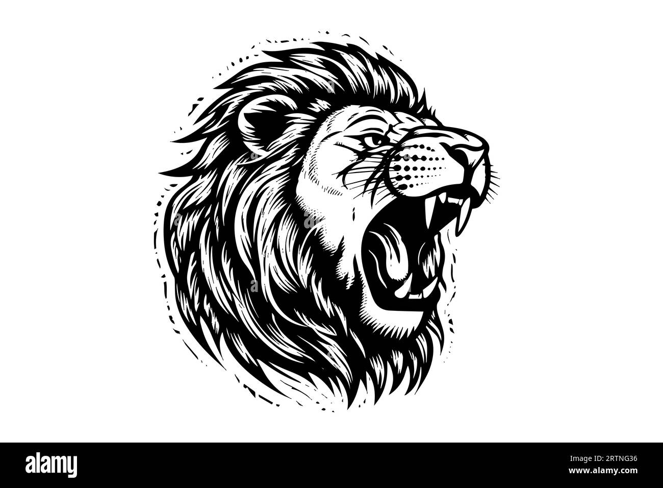 Dessin de portrait de tête de growl de lion dessin à la main illustration vectorielle de style gravure. Illustration de Vecteur