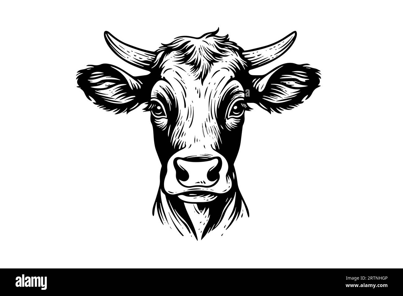 Bandeaux Cornes De Vache - Lot De 4 Pour Fête, Cosplay Ou Déguisement - Taille Unique élastique, Confortable Et Lavable