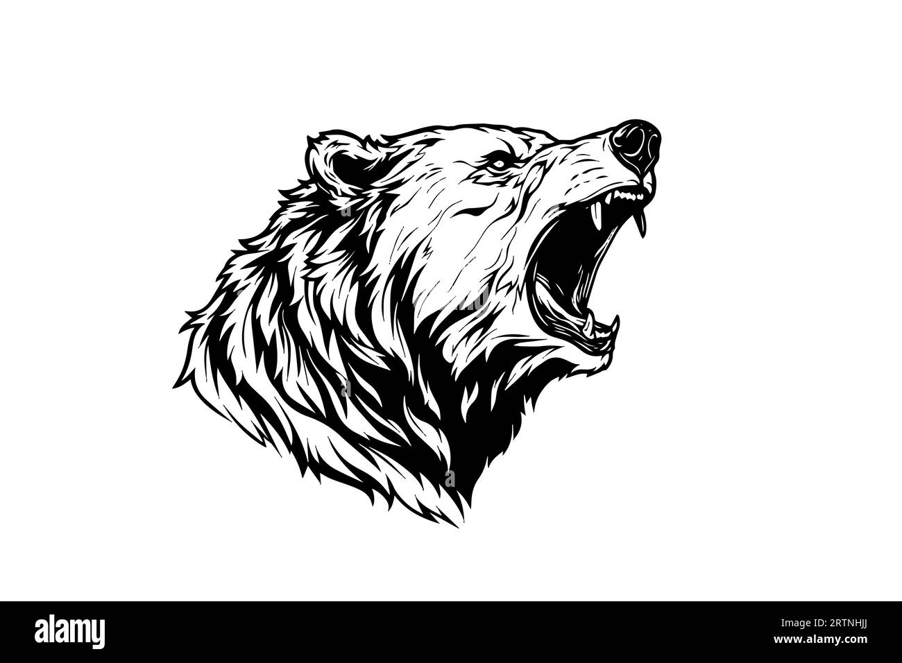 Illustration de style de gravure vectorielle de logo de tête grognant d'ours. Illustration de Vecteur