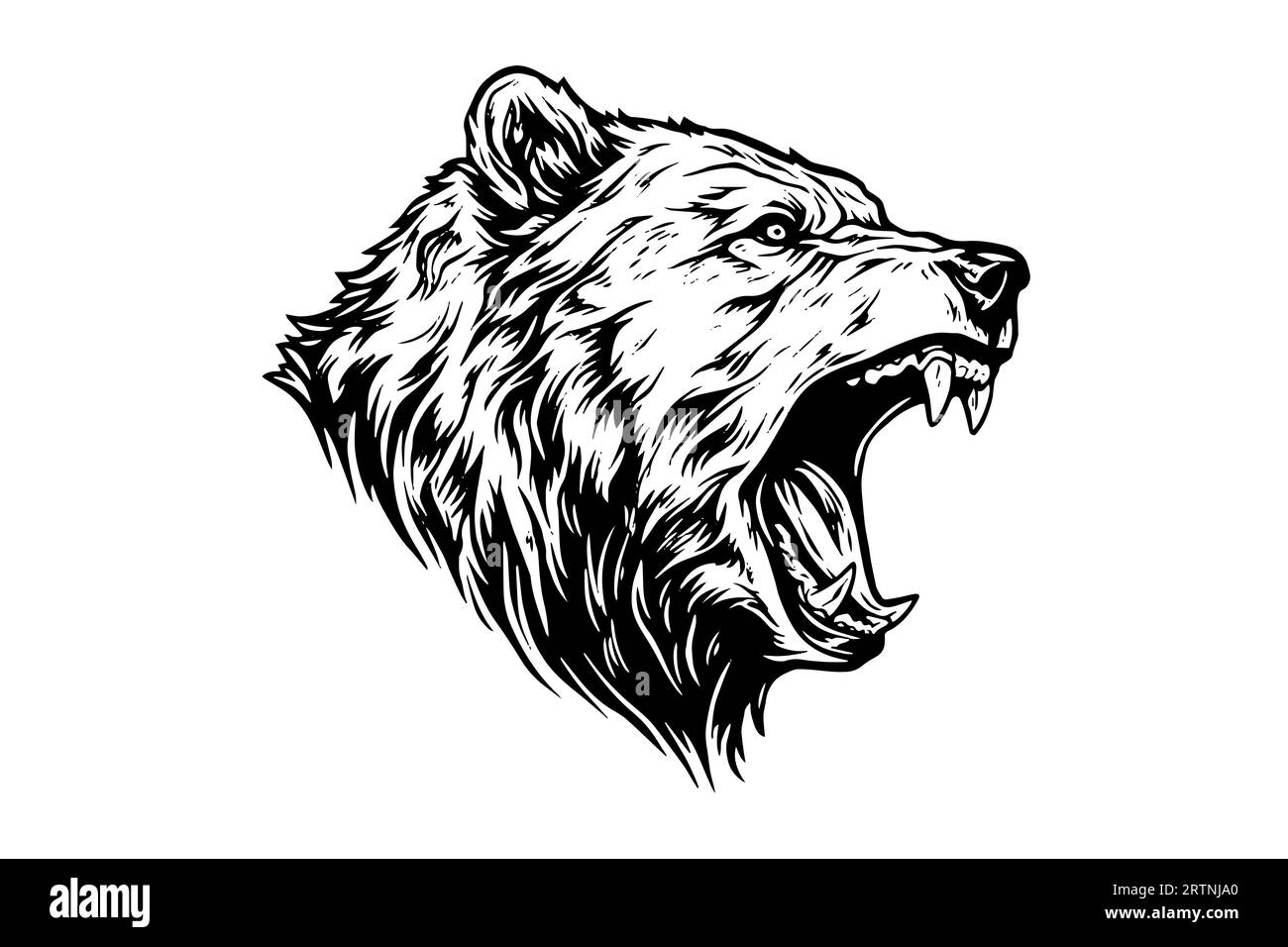 Illustration de style de gravure vectorielle de logo de tête grognant d'ours. Illustration de Vecteur