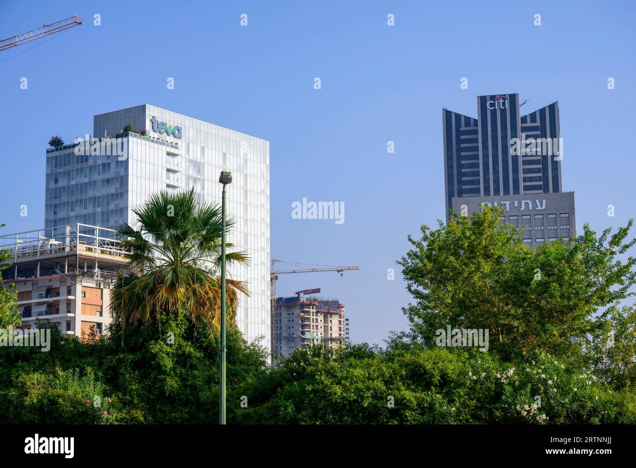 Bureaux de Teva Pharmaceuticals à tel Aviv, Israël Banque D'Images