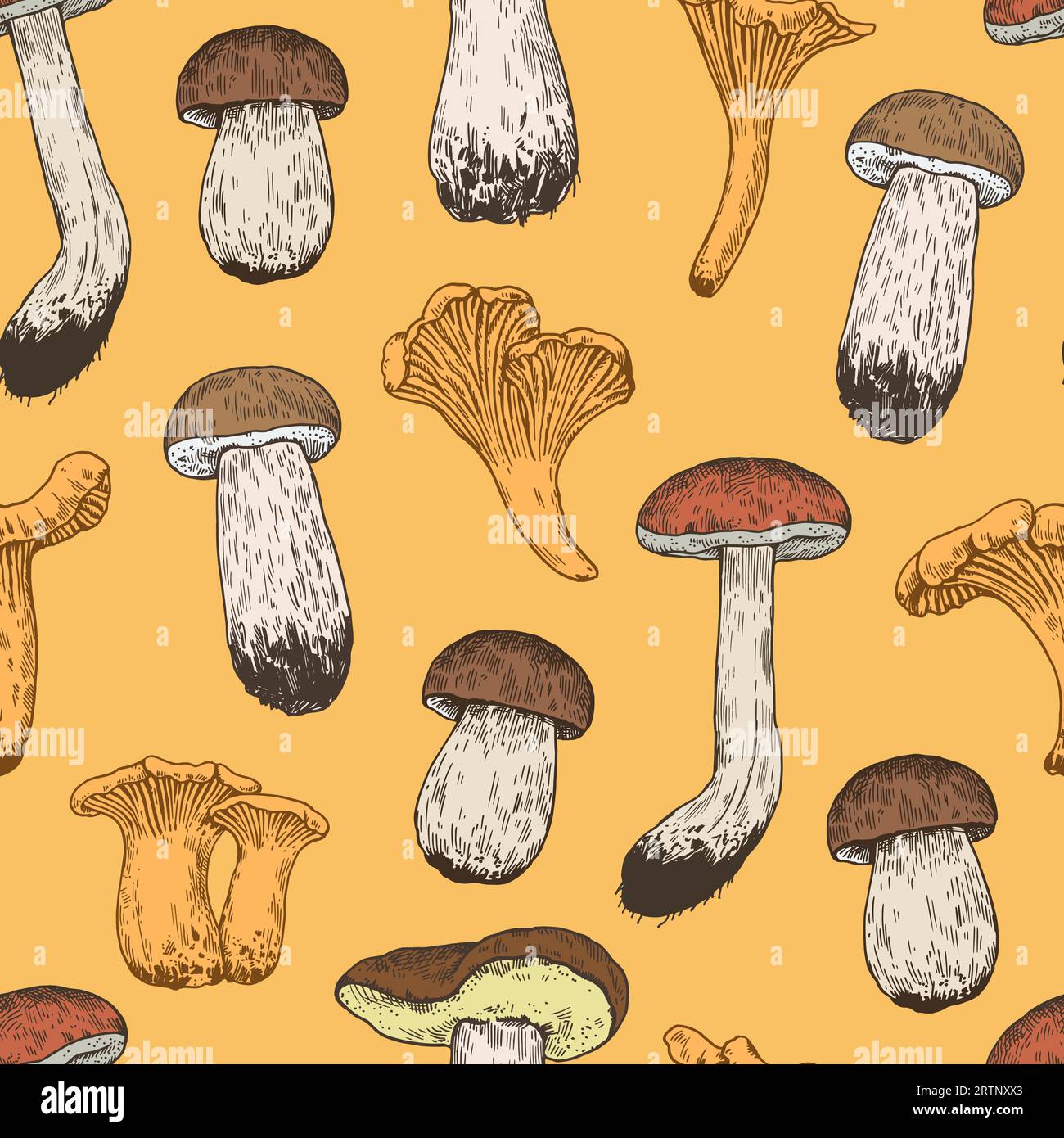 Motif sans couture avec des champignons dans le style de gravure rétro. Imprimé vintage dessiné à la main pour le design et le textile. Illustration de Vecteur