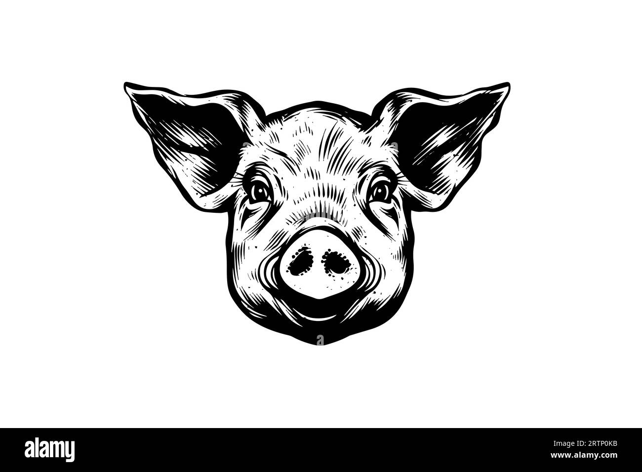 Illustration vectorielle de style gravure de porc mignon ou tête de porc. Illustration de Vecteur