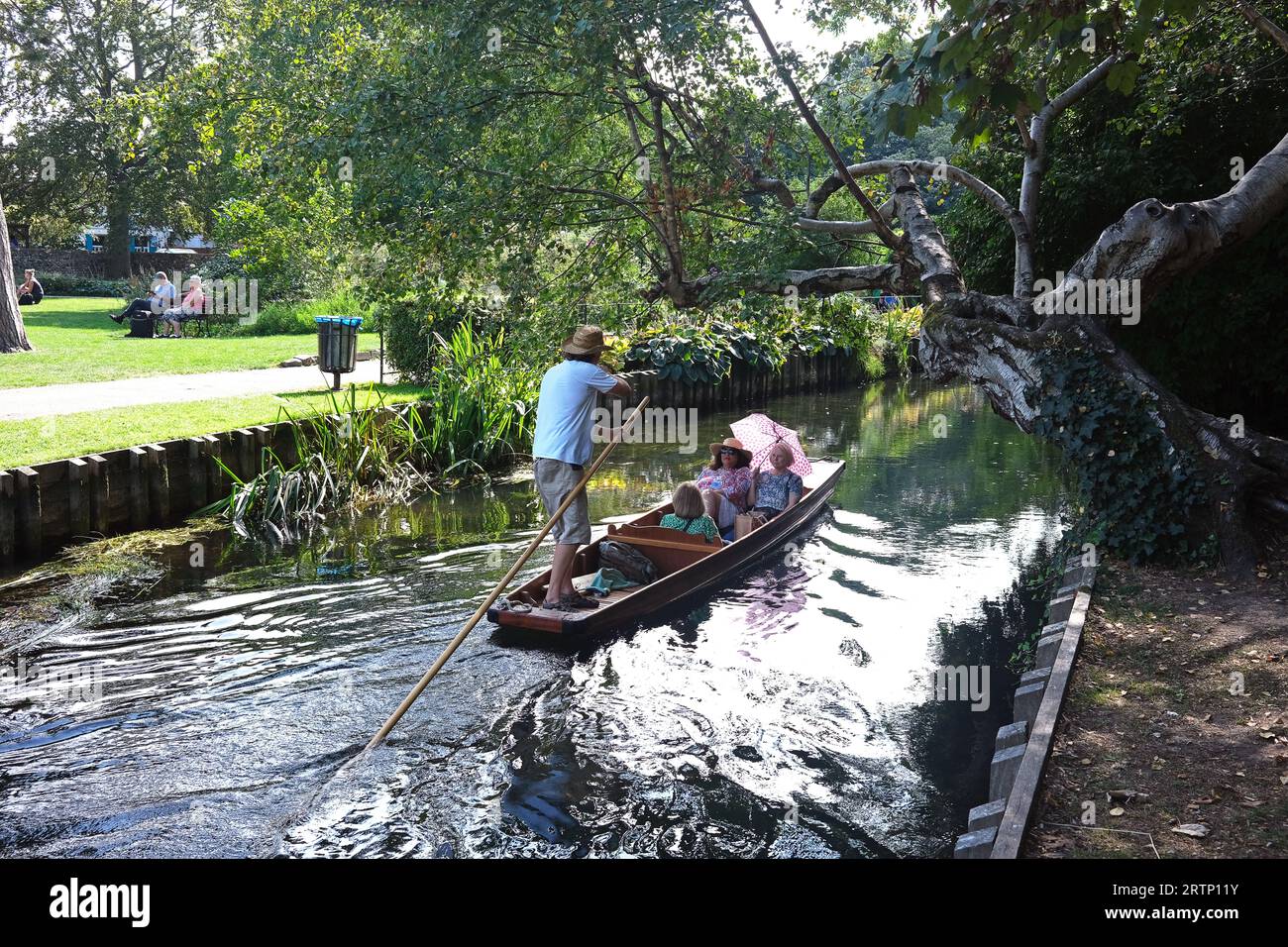 Punting sur la rivière Stour à Canterbury, Kent, Royaume-Uni. Les gens appréciant Englands les touristes indiens d'été apprécient l'ombre sur la rivière stour dans le Westgat Banque D'Images