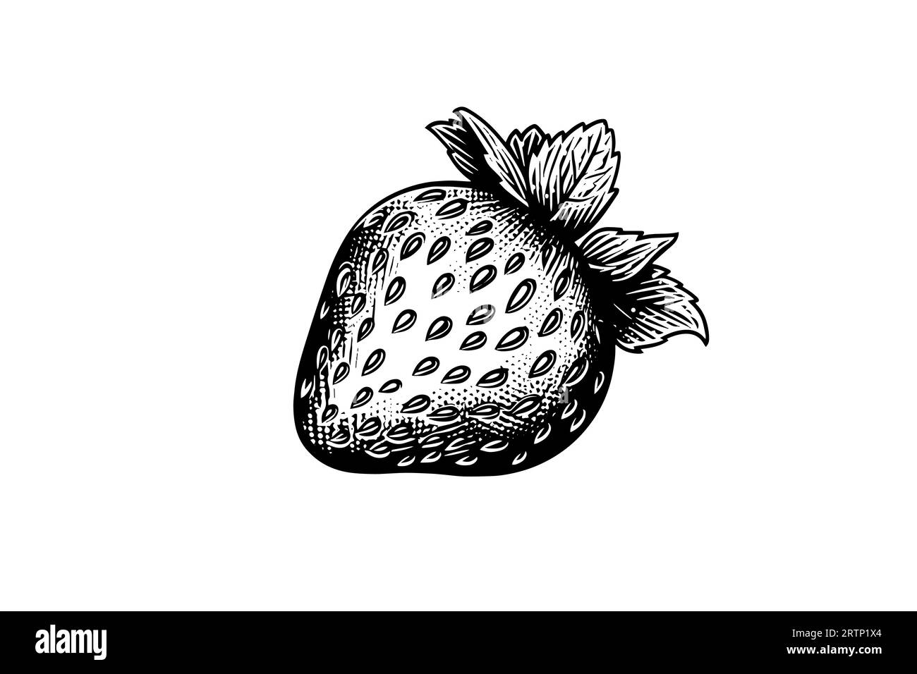 Fraise dans le style de gravure. Élément de conception pour affiche, carte, bannière, signe. Illustration vectorielle. Illustration de Vecteur