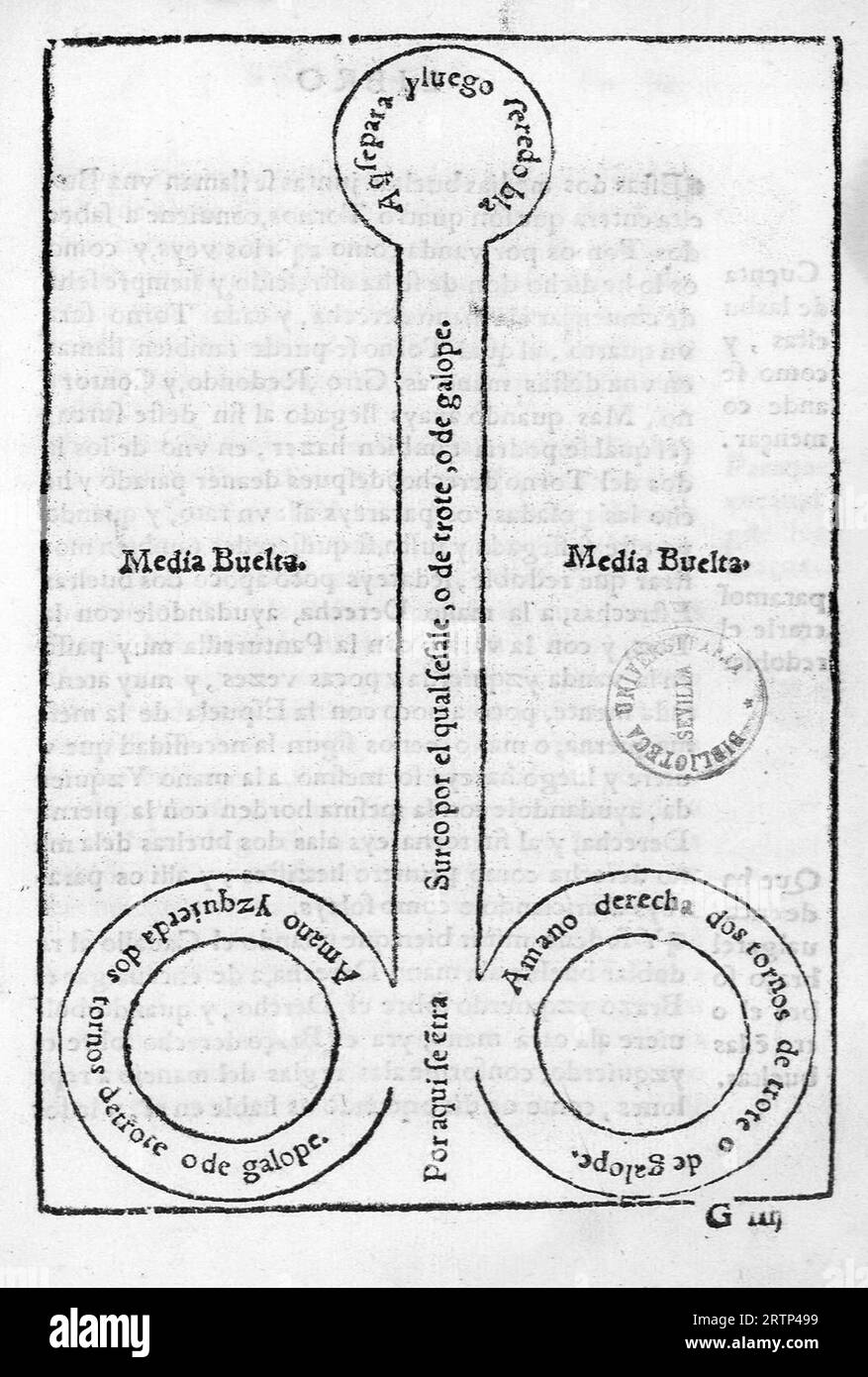 Reglas de la caualleria de la brida, 1568 Banque D'Images