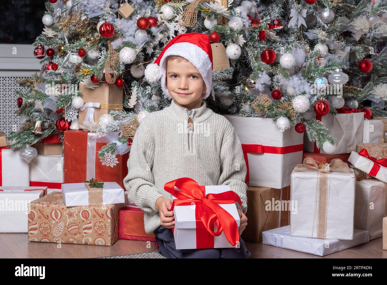 Joli enfant heureux dans un chapeau de père noël tenant un cadeau surprise sur le fond d'un arbre de Noël décoré. Un garçon satisfait a reçu un Noël ou un nouvel an Banque D'Images