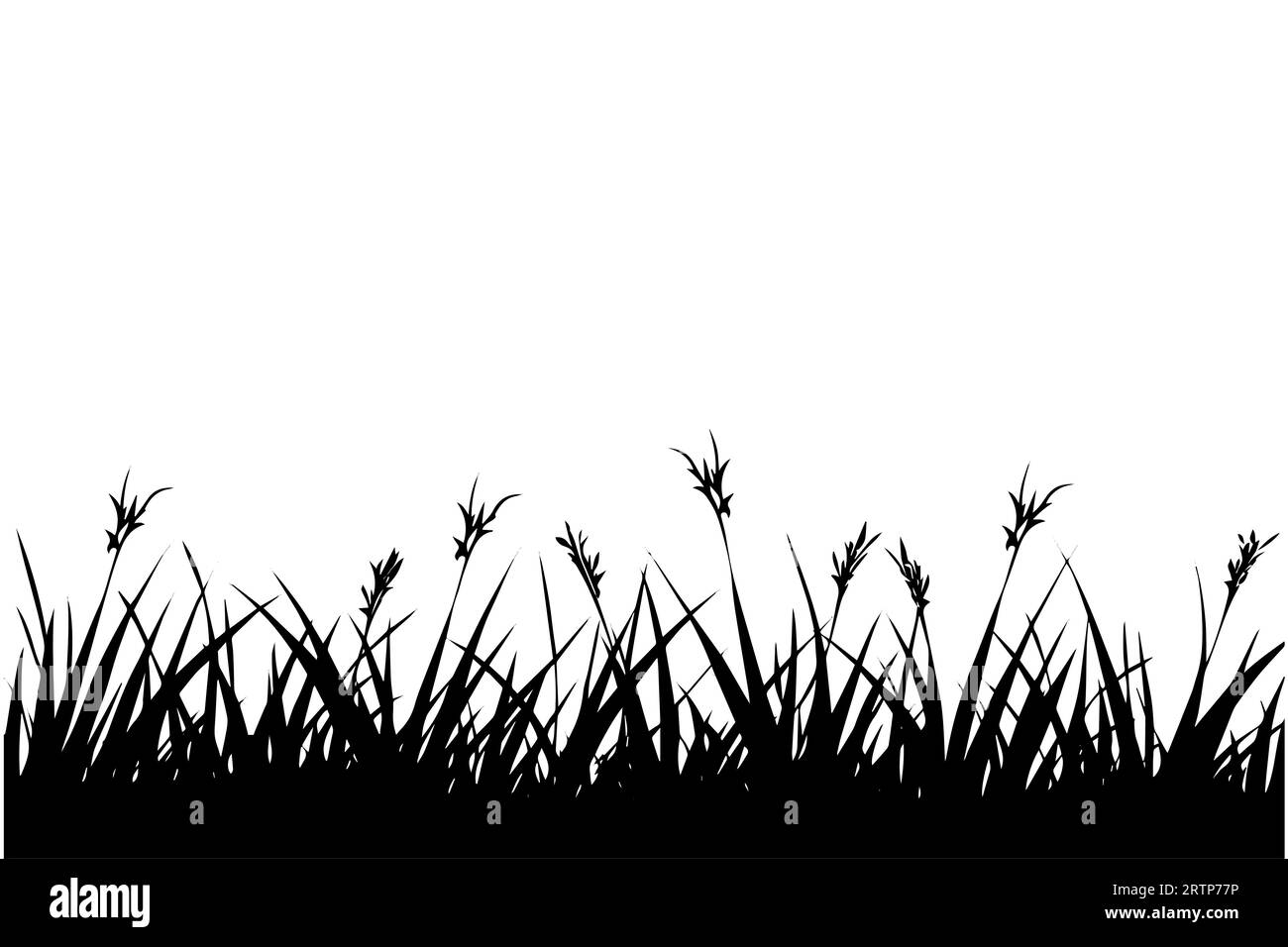 Fond abstrait avec des silhouettes noires d'herbes et de fleurs sauvages de prairie. Illustration vectorielle. Illustration de Vecteur