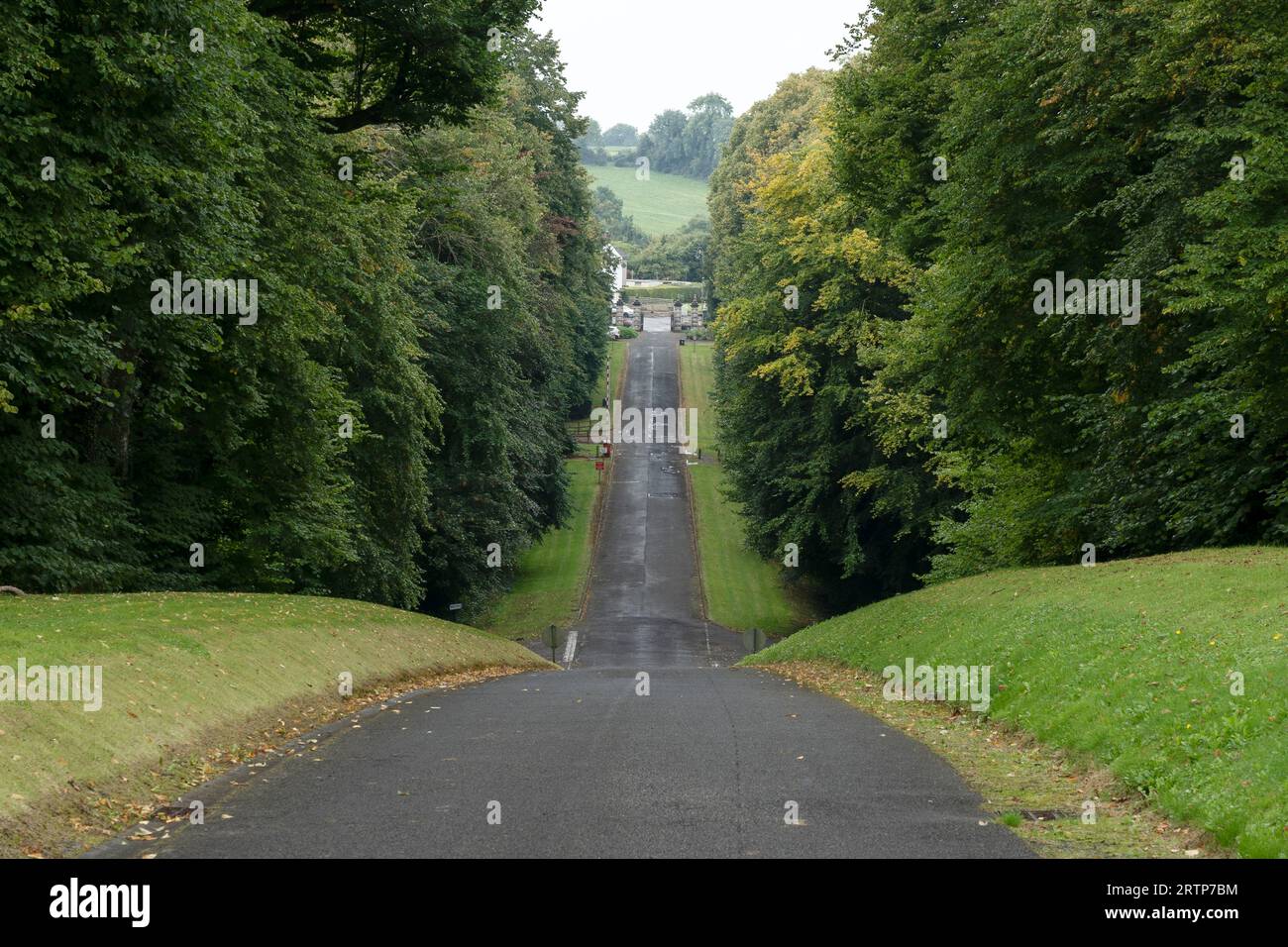 La vue en bas de la promenade de manoir bordée d'arbres dans Loughgall County Armagh Irlande du Nord Royaume-Uni Banque D'Images