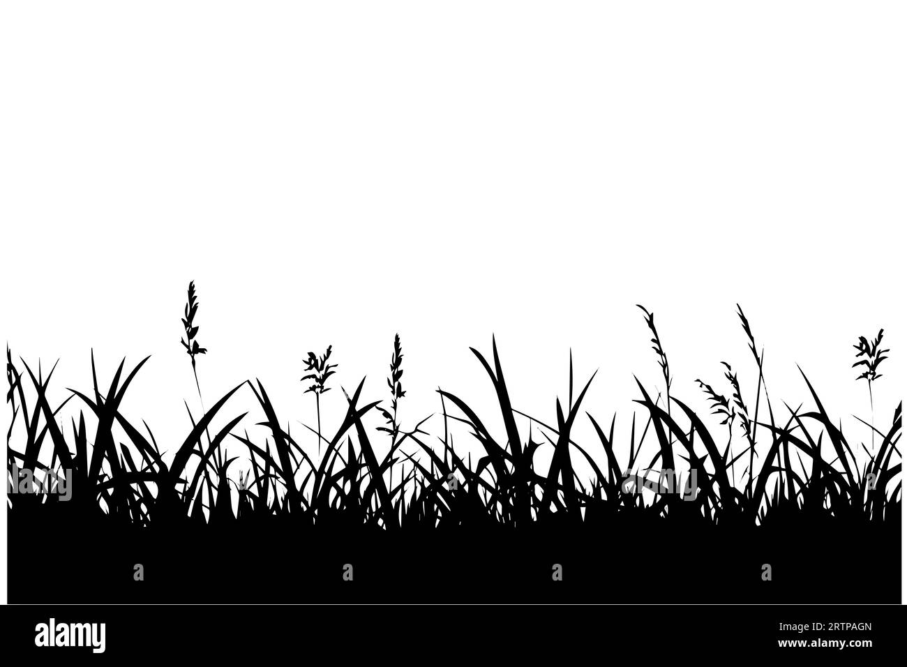 Fond abstrait avec des silhouettes noires d'herbes et de fleurs sauvages de prairie. Illustration vectorielle. Illustration de Vecteur