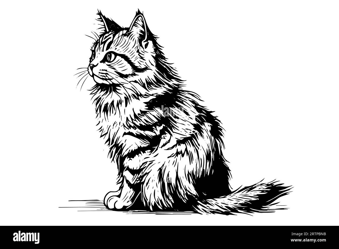 Mignon chat dessiné à l'encre dessin à la main gravure vintage style.Vector illustration. Illustration de Vecteur