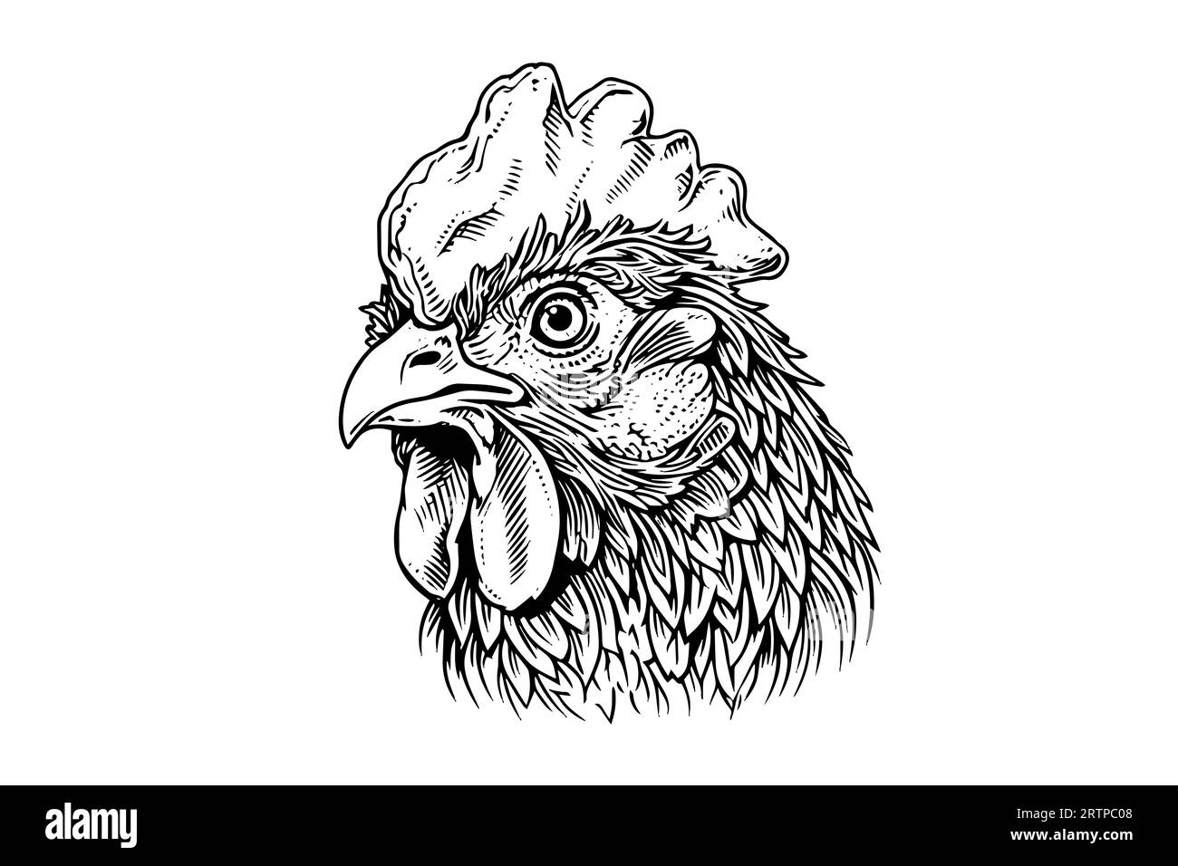 Tête de poulet ou de poule dessinée dans l'illustration vectorielle de style gravure vintage. Illustration de Vecteur