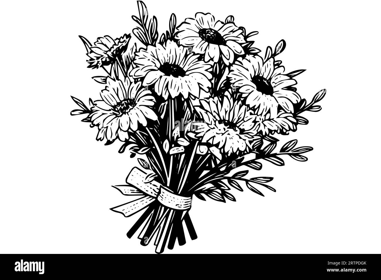 Croquis à l'encre de camomille dessiné à la main. Illustration vectorielle de gravure de bouquet de Marguerite. Illustration de Vecteur