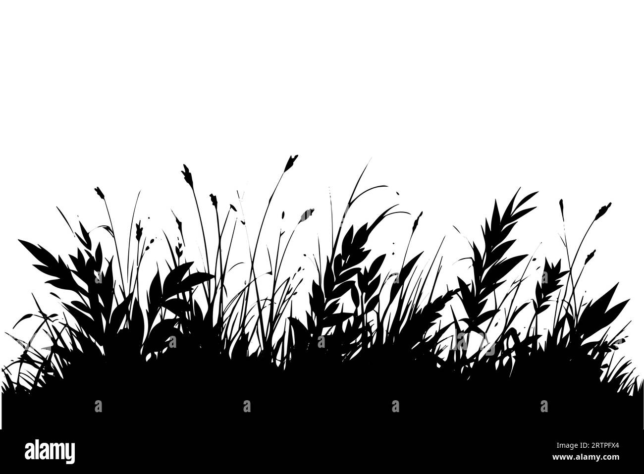 Fond abstrait avec des silhouettes noires d'herbes et de fleurs sauvages de prairie. Illustration vectorielle. Illustration de Vecteur