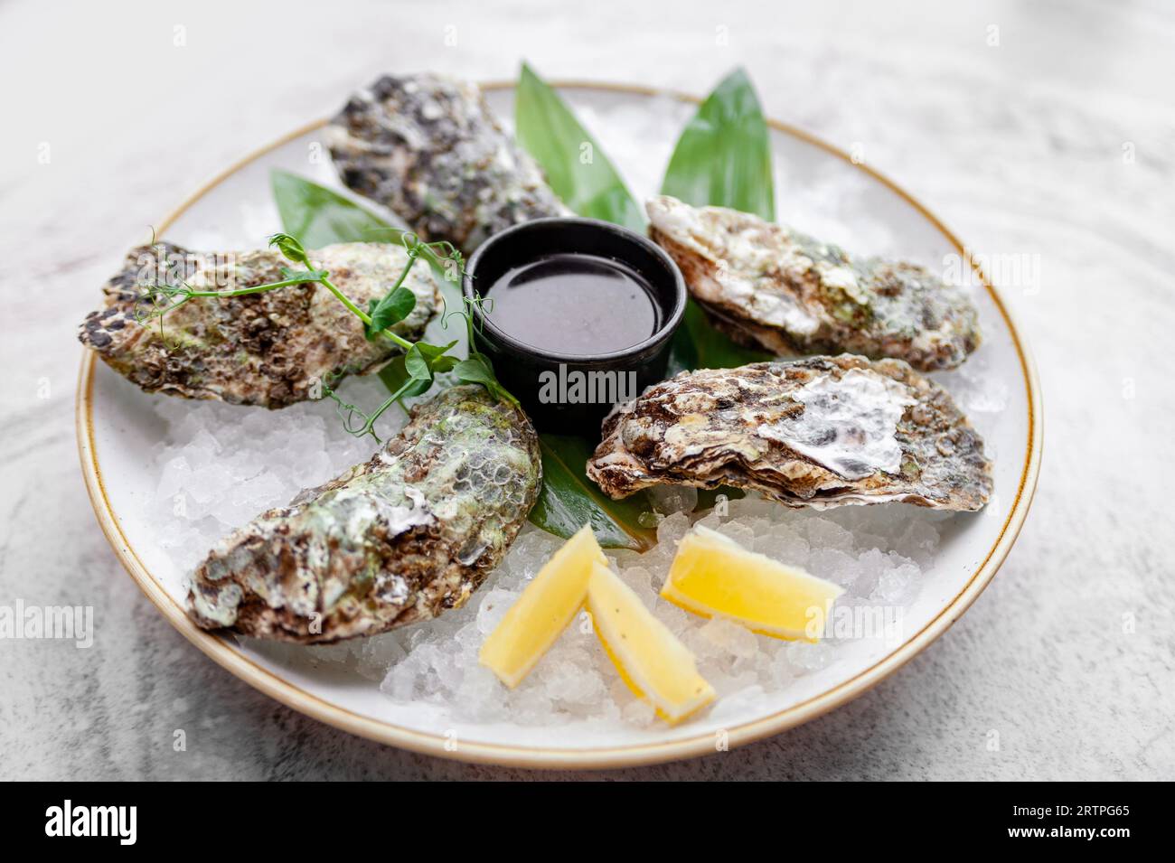 Assiette avec huîtres sur glace avec citron et sauce sur une table en marbre Banque D'Images