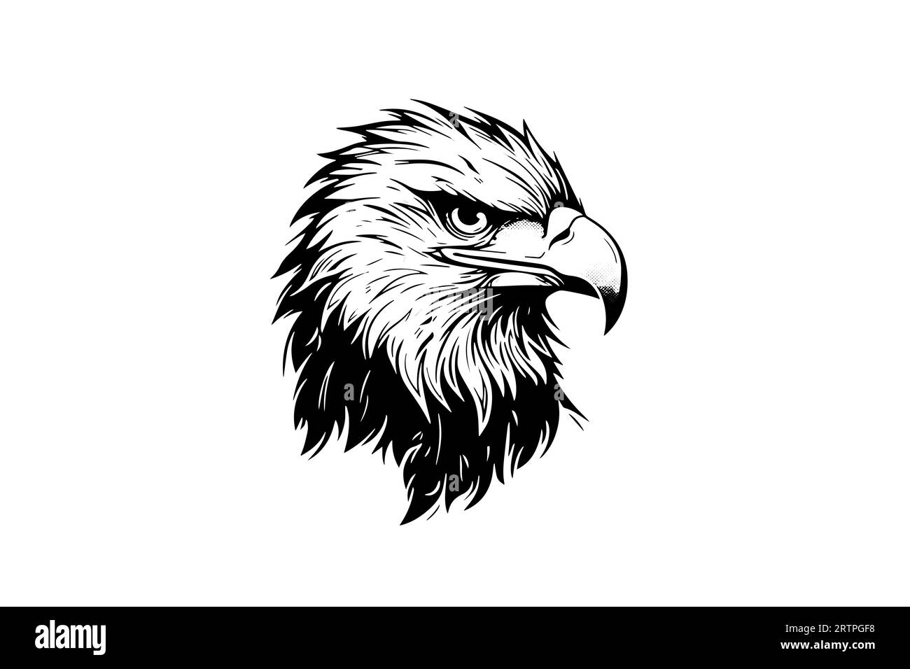 Mascotte de logotype de tête d'aigle dans le style de gravure. Illustration vectorielle du signe ou de la marque. Illustration de Vecteur