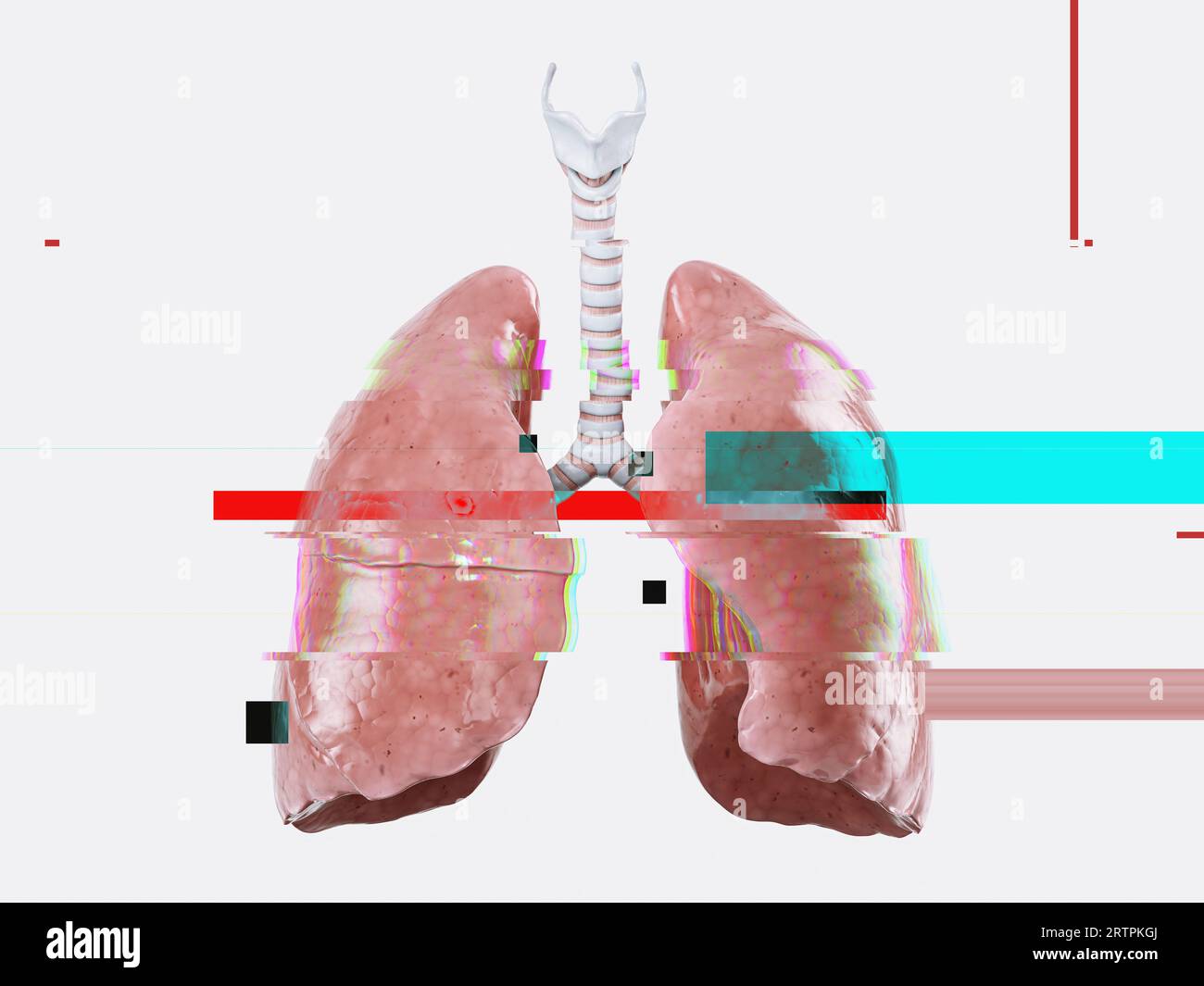 Illustration réaliste 3d du modèle anatomique des poumons humains avec effet de pépin, échec ou concept de maladie Banque D'Images