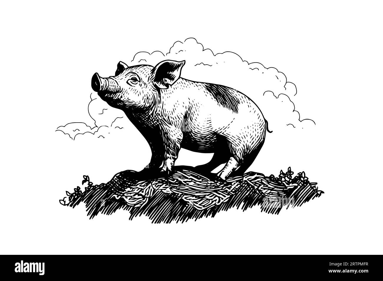 Image vectorielle gravée dessinée à la main de paysage de village avec des cochons mangent de l'herbe dans le pâturage. Illustration de Vecteur