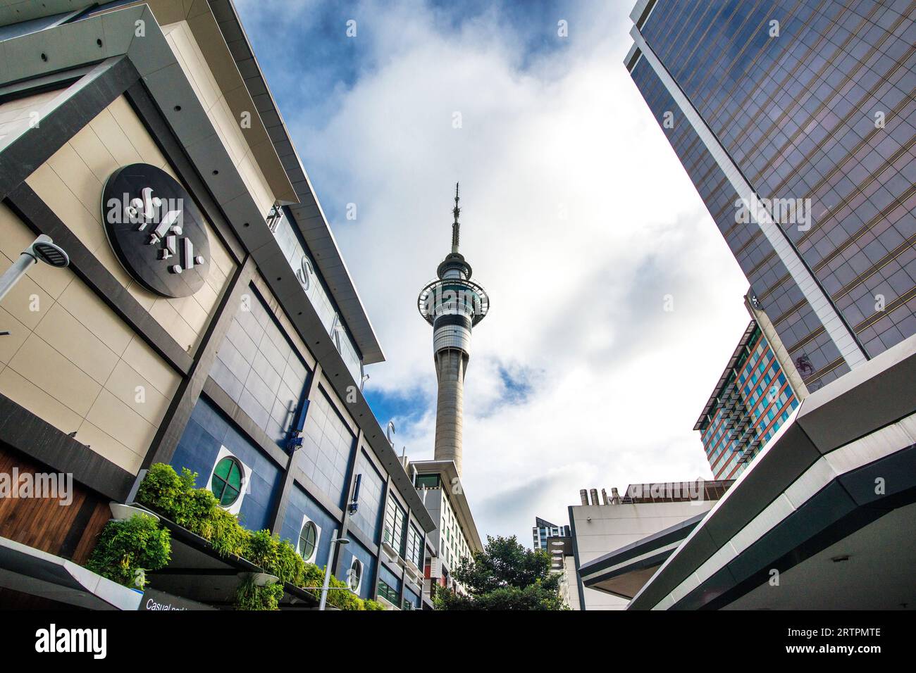 Sky Tower, quartier central des affaires, Auckland, Île du Nord, Nouvelle-Zélande Banque D'Images
