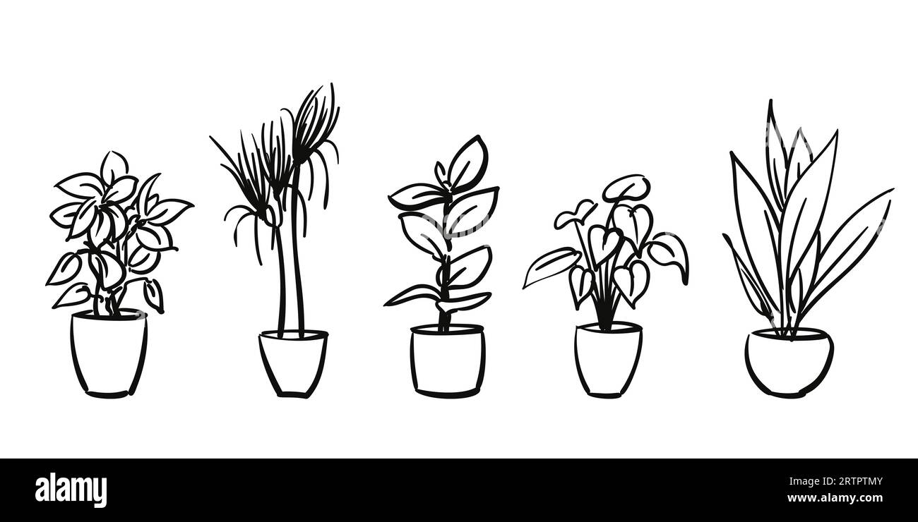 Plantes en pot isolé ensemble d'illustrations dessinées à la main, croquis vectoriel, pot de fleurs d'intérieur dessin à main levée Illustration de Vecteur