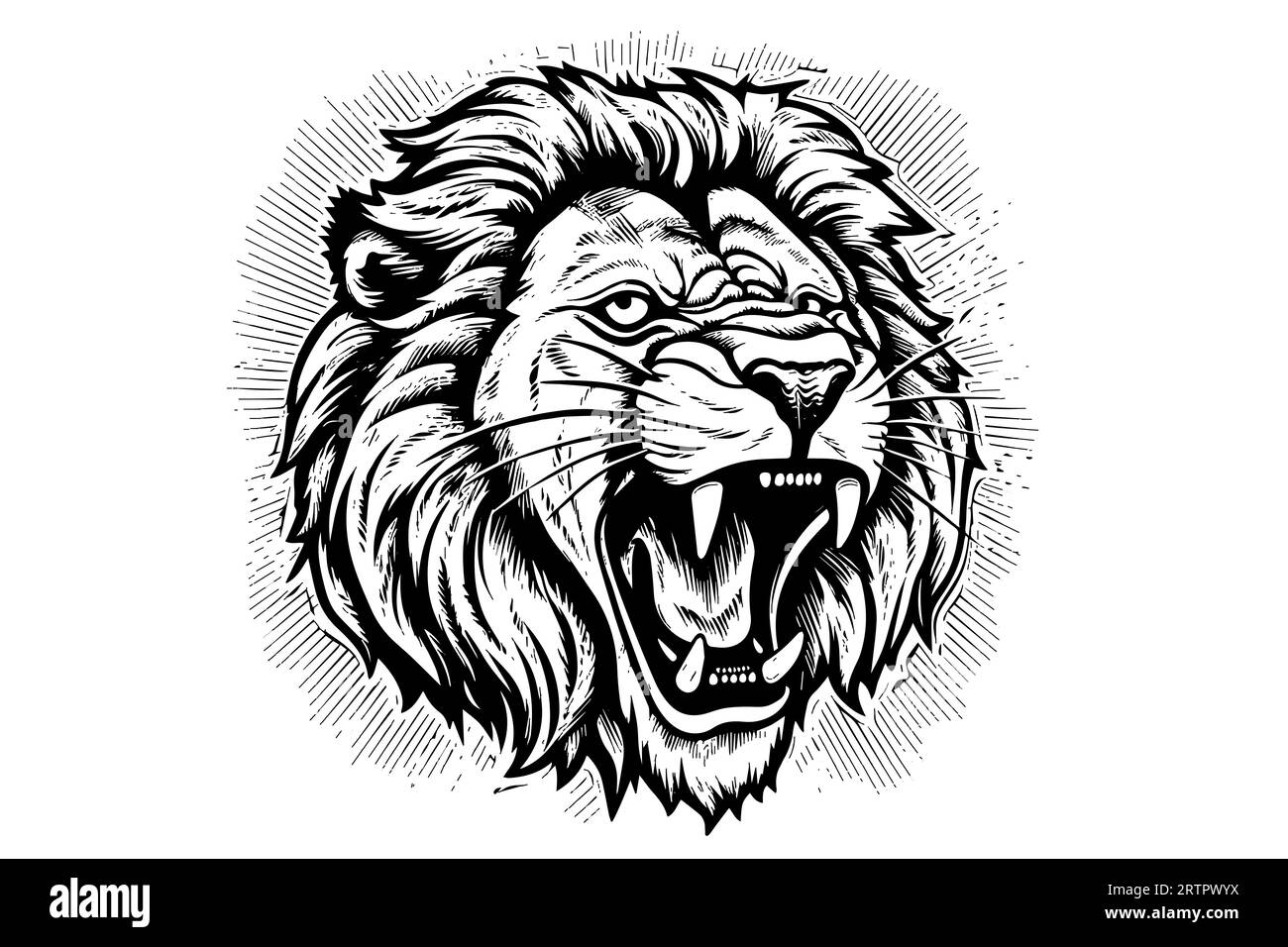 Dessin de portrait de tête de growl de lion dessin à la main illustration vectorielle de style gravure. Illustration de Vecteur