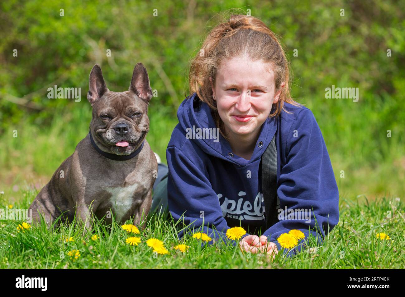 Fille posant avec le bulldog français Lilas / Isabella frenchie / Bouledogue Français, race de chien de compagnie français ou chien jouet dans le jardin Banque D'Images
