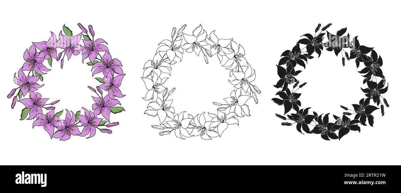 Lilly flower line art guirlande couronne cercle set, fond vectoriel. Illustration de Vecteur