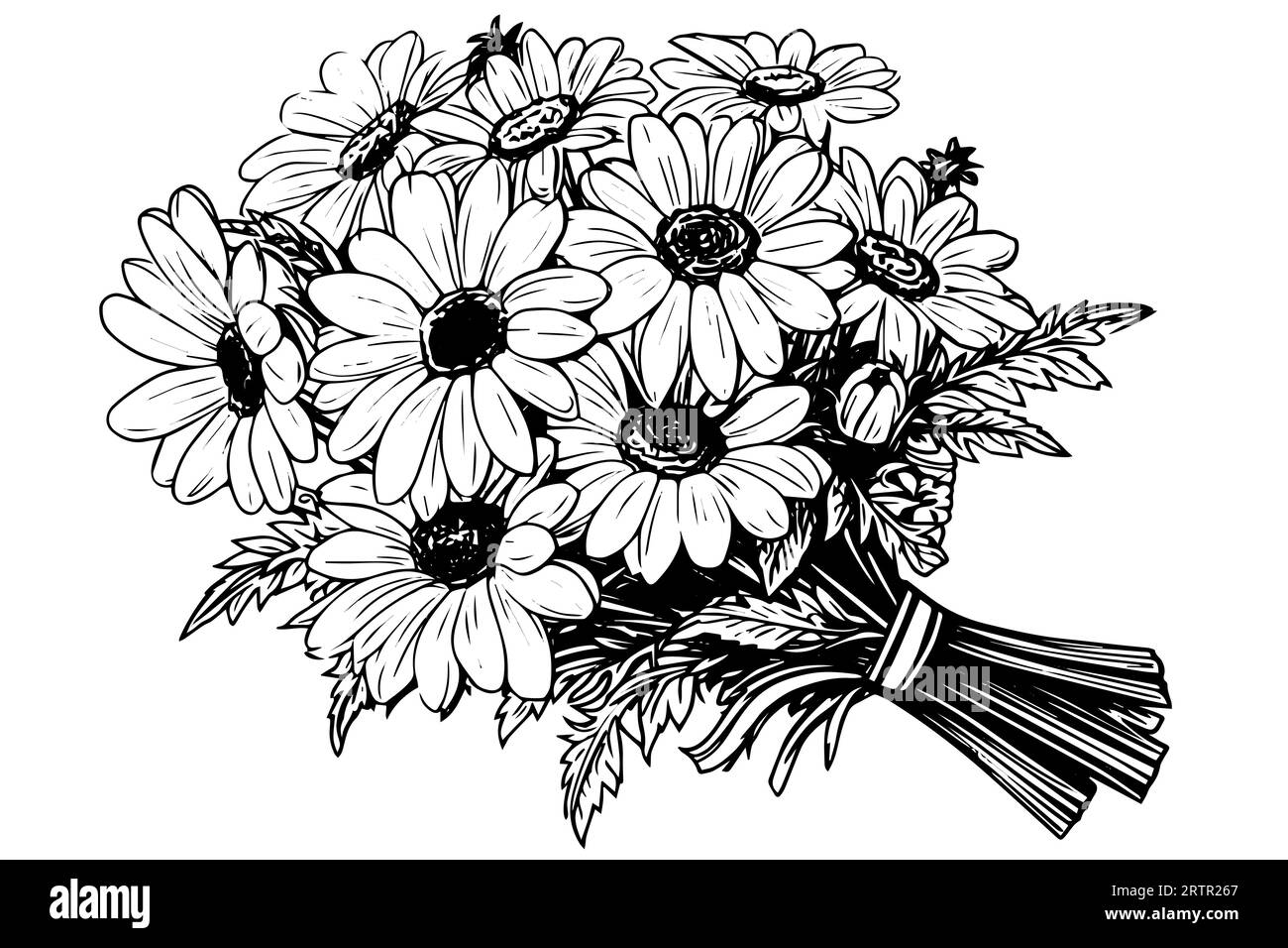 Croquis à l'encre de camomille dessiné à la main. Illustration vectorielle de gravure de bouquet de Marguerite. Illustration de Vecteur