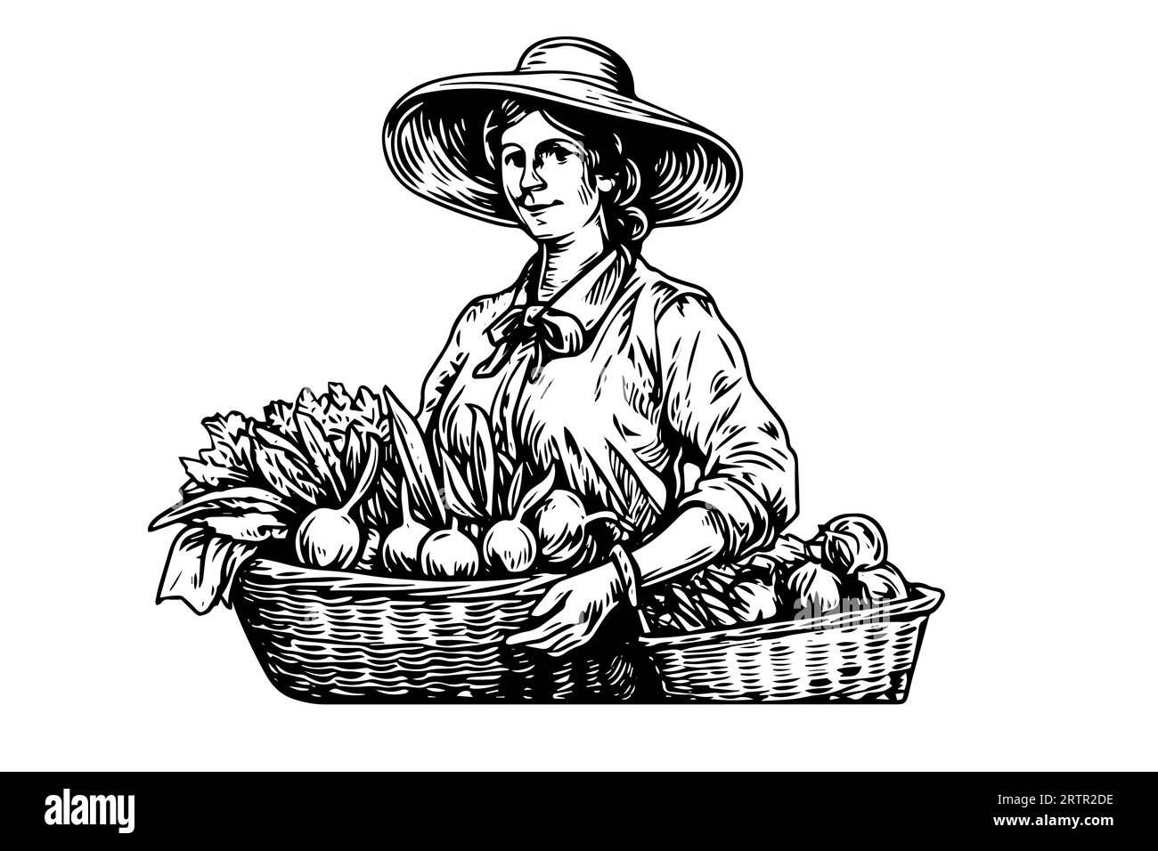 Une femme agricultrice récoltant dans le champ dans le style de gravure. Illustration vectorielle d'esquisse à l'encre de dessin. Illustration de Vecteur