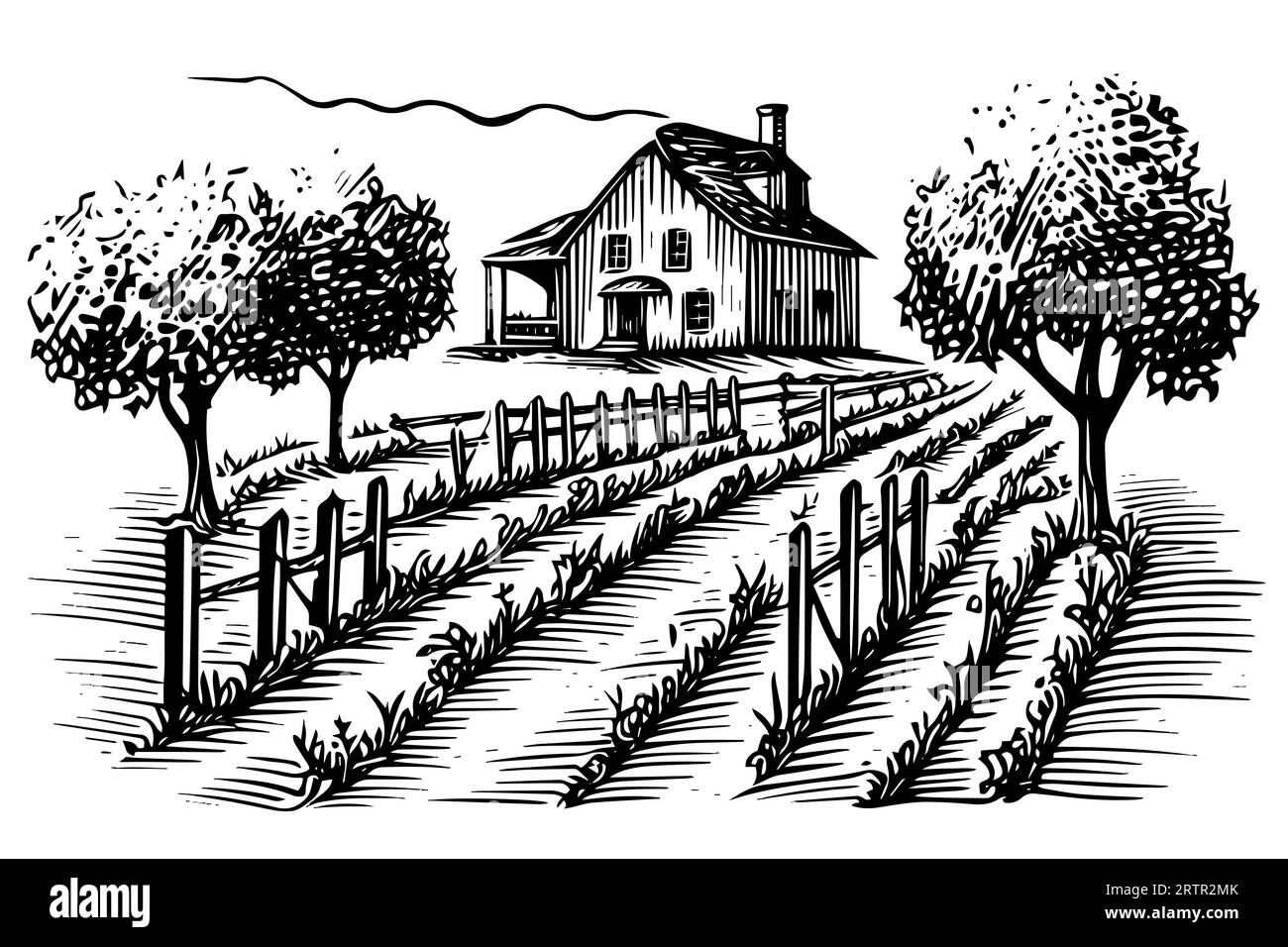 Style gravure paysage vignoble. Illustration vectorielle d'esquisse dessinée à la main vintage. Illustration de Vecteur