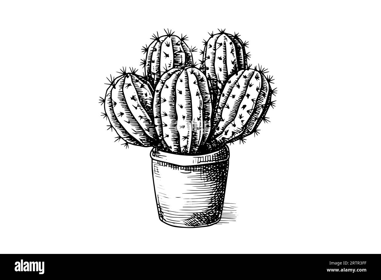 Croquis à l'encre dessiné à la main de cactus. Illustration vectorielle de style de gravure. Illustration de Vecteur