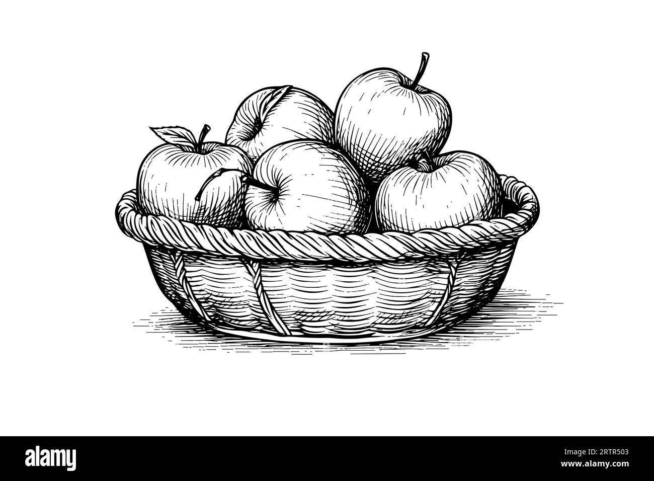 Pommes dans un panier fruits dessinées à la main illustrations vectorielles de style gravure. Illustration de Vecteur