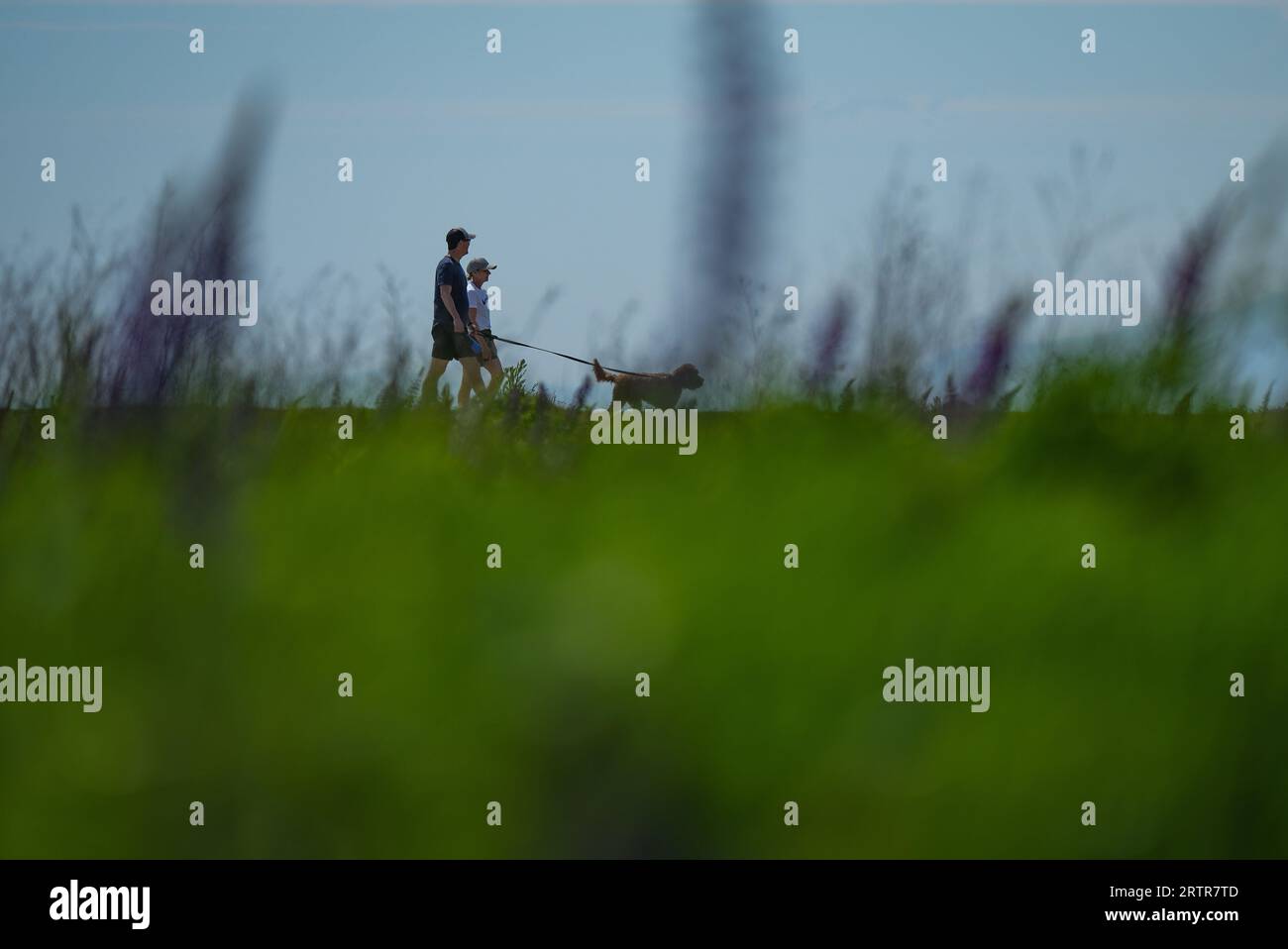 Richmond, Canada. 18 mai 2023. Les gens sont encadrés par des fleurs sauvages alors qu’ils promenent un chien sur un sentier au parc Garry point, à Richmond, en Colombie-Britannique, le jeudi 18 mai, 2023. le Gouvernement de la Colombie-Britannique affirme que sa politique de dépénalisation des drogues a été modifiée pour empêcher les gens de consommer des substances illégales près des terrains de jeux et des parcs THE CANADIAN PRESS/Darryl Dyck Credit : The Canadian Press/Alamy Live News Banque D'Images