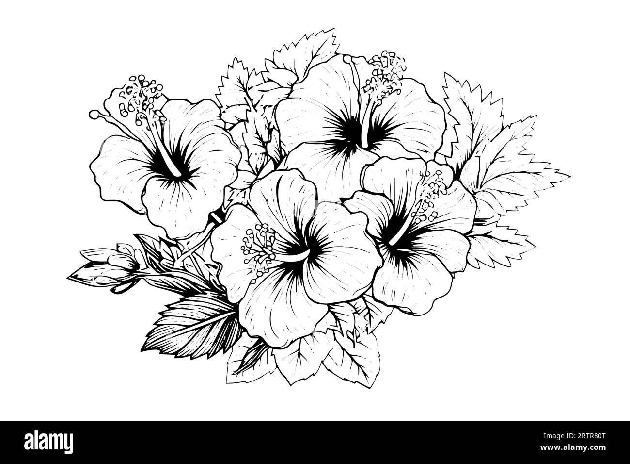 Fleurs d'hibiscus dans un style gravure sur bois vintage. Illustration vectorielle. Illustration de Vecteur