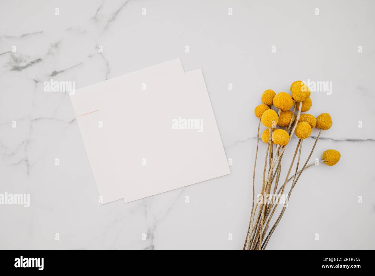 Maquette de carte carrée de papier blanc vierge et enveloppe et fleurs jaunes sur fond de marbre blanc. Gabarit esthétique minimal. Pose à plat, vue de dessus Banque D'Images