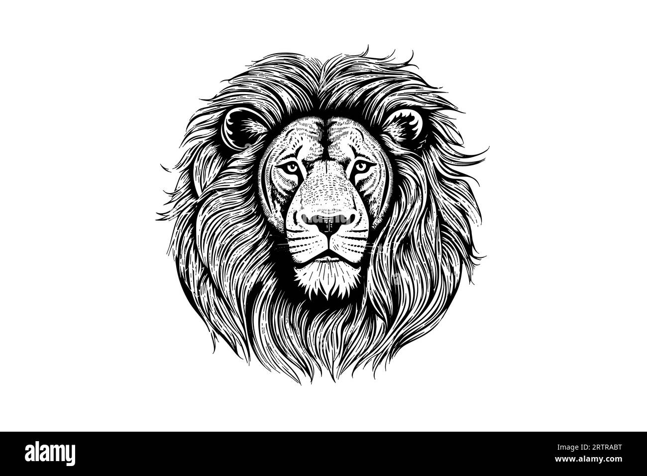 La tête de lion dessine à la main la gravure vintage illustration vectorielle noir et blanc sur fond blanc. Illustration de Vecteur
