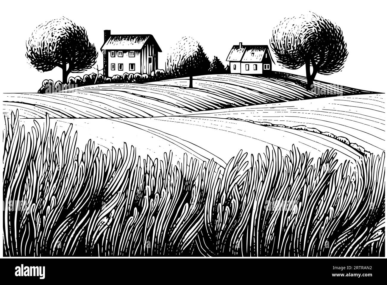 Paysage rural avec une ferme dans le style de gravure. Illustration vectorielle dessinée à la main. Illustration de Vecteur Paysage rural avec une ferme dans le style de gravure. Illustration vectorielle dessinée à la main. Illustration de Vecteur