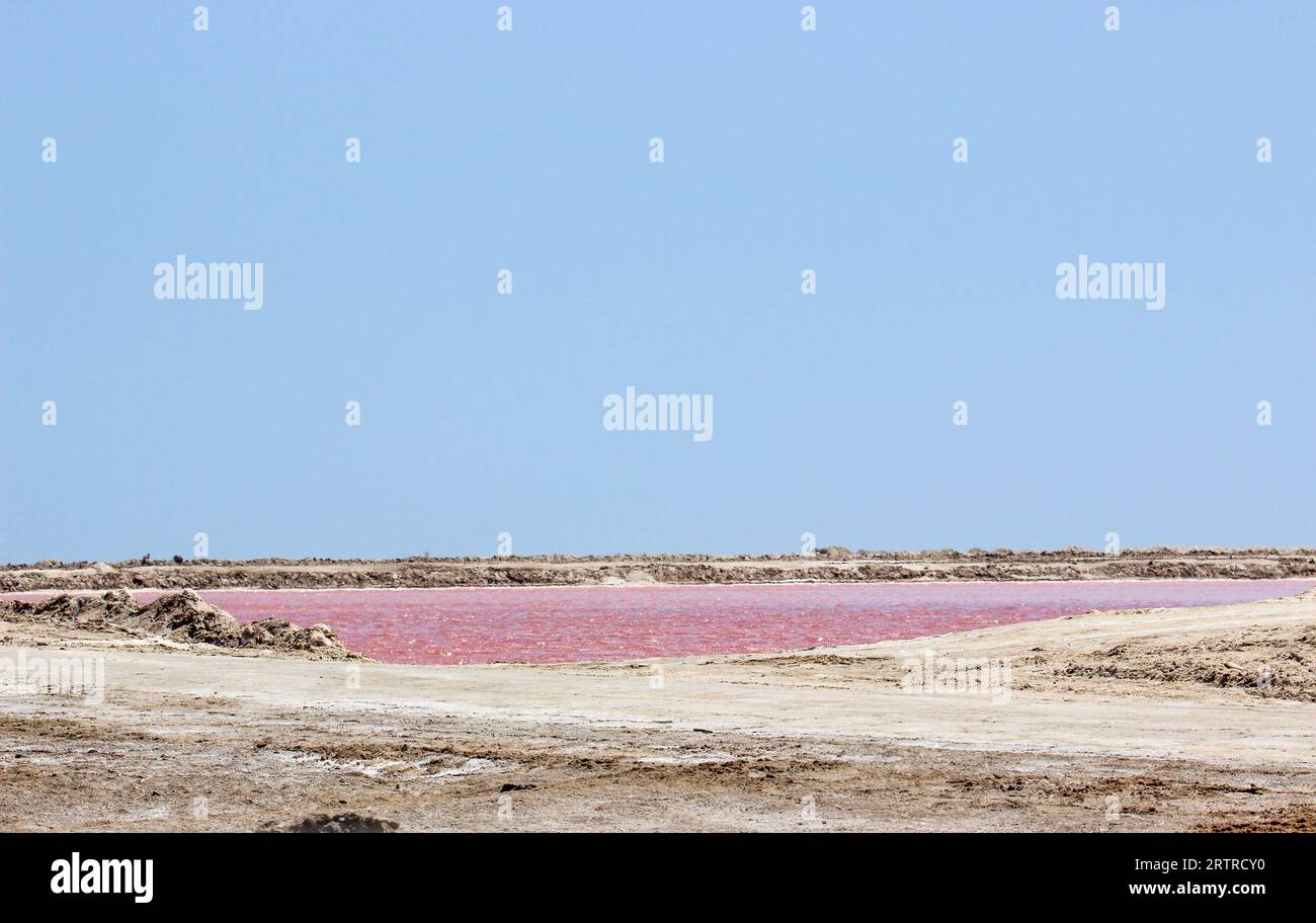 Lac de sel marin solaire rose, Walvis Bay, Namibie Banque D'Images