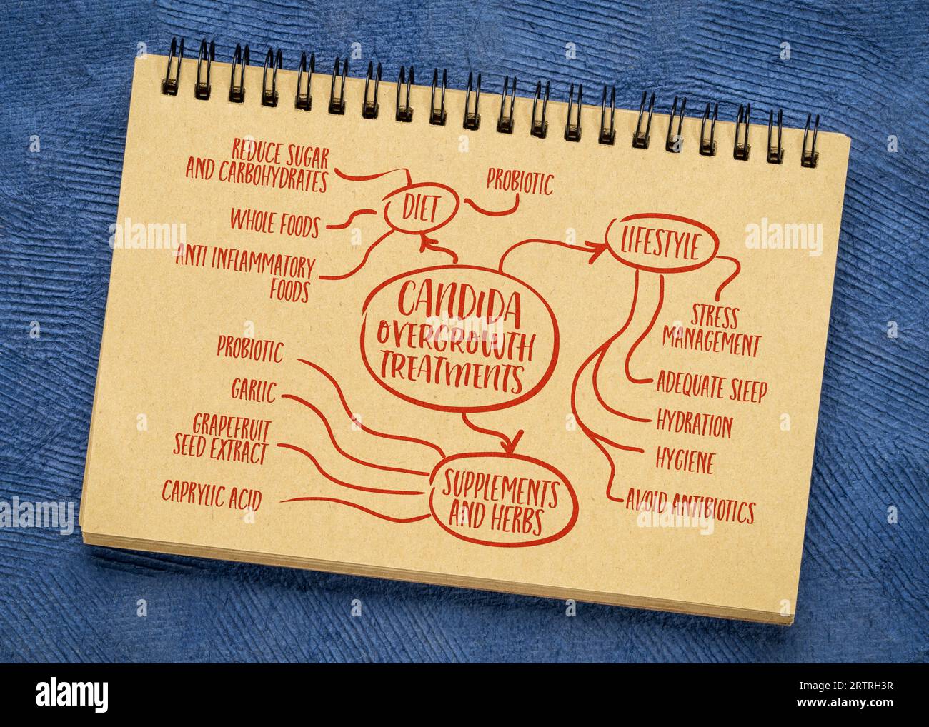 traitement de la prolifération de candida - infographie ou croquis de carte mentale sur un cahier - concept de bien-être et de santé Banque D'Images